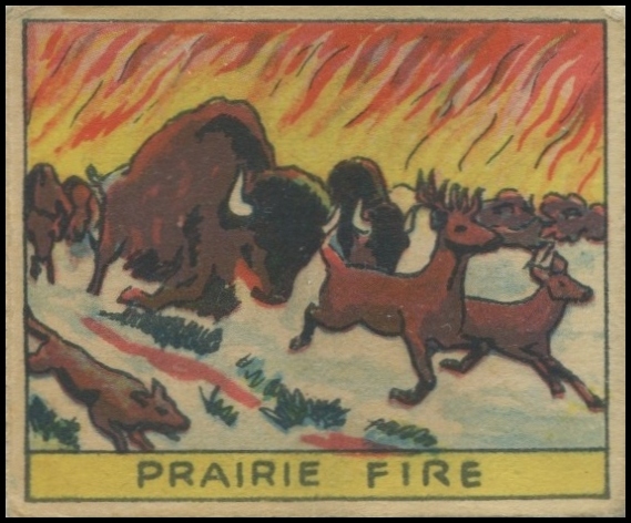 207 Prairie Fire